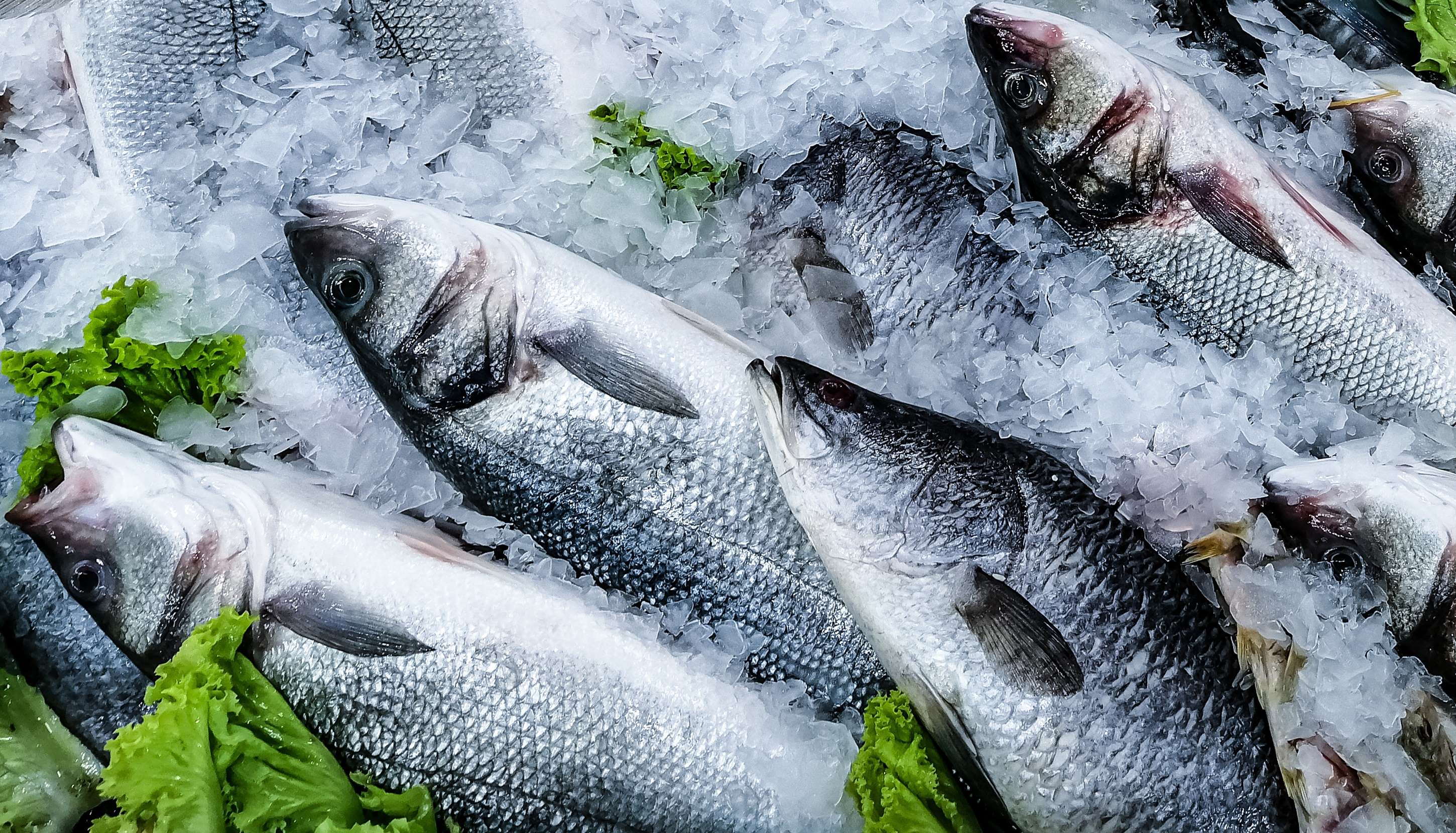 Frozen fish with salad greens