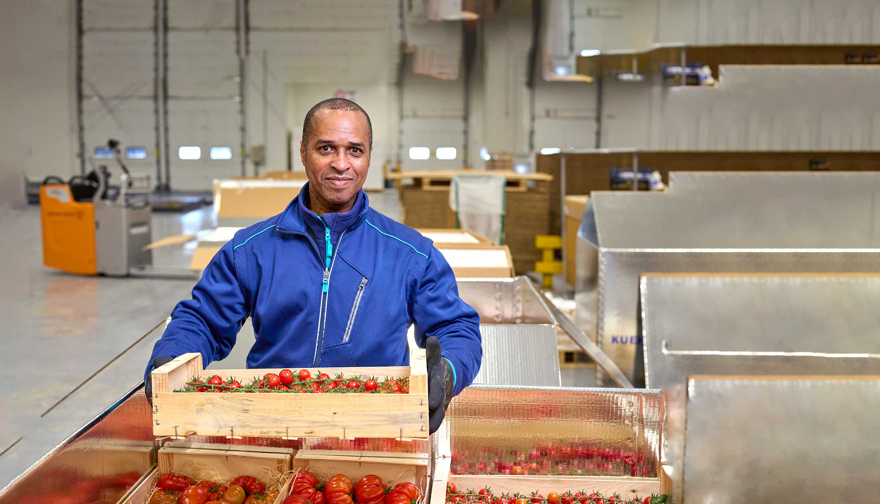 A Kuehne+Nagel employee methodically packs crates of fresh tomatoes.