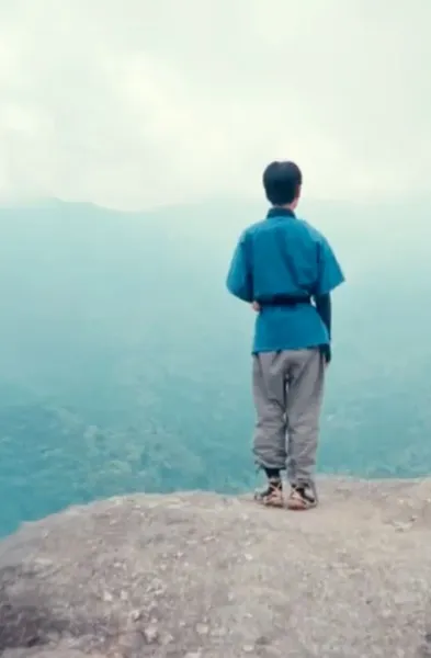 A man from the back standing on rock looking into a valley